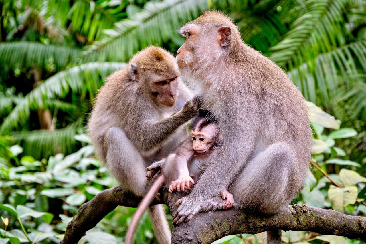 Workshop on Clinical Trials